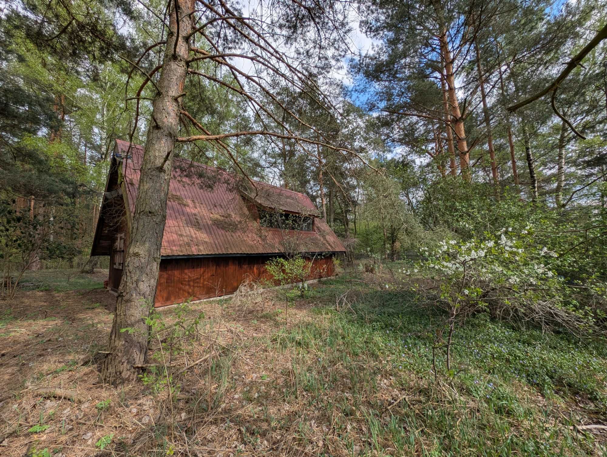 Piękna działka budowlana z domkiem letniskowym na skraju lasu