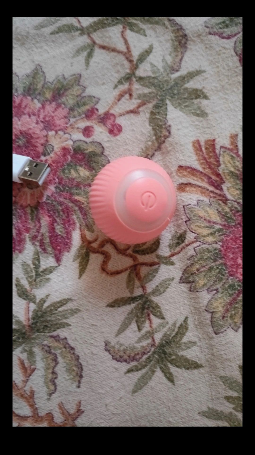 Bola para gato interativa