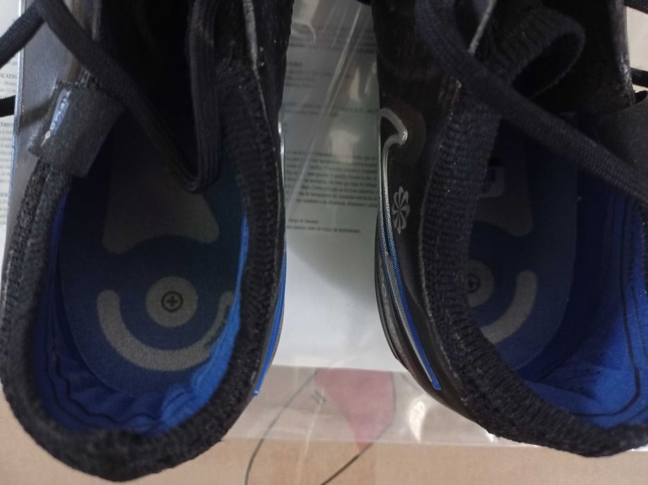 Сороконіжки універсальні