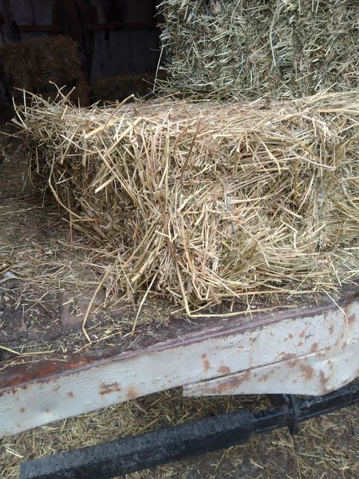 Продам люрцерну в тюках