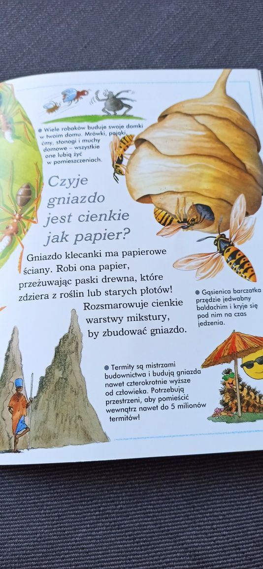 Książka Pająki tkają sieci