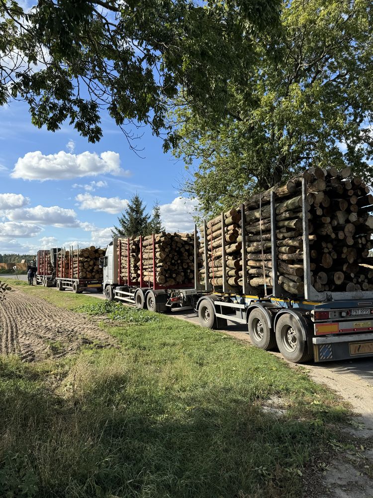 Sprzedam drewno opałowe/ kominkowe  hurtowe ilosci kłoda s2a s2ap s4