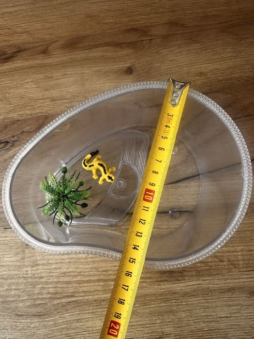 Акваріум, тераріум