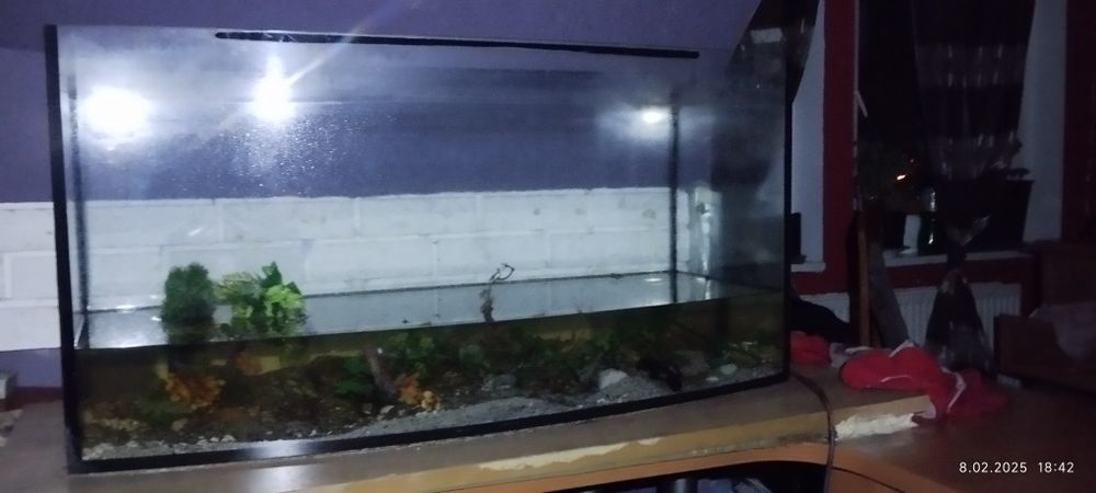 Akwarium 240 l z akcesoriami