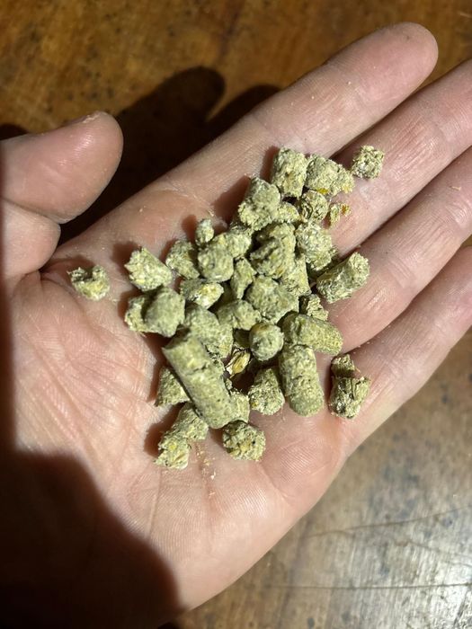 Pasza dla koni, granulat