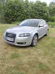Audi A3 8P 1.9 tdi