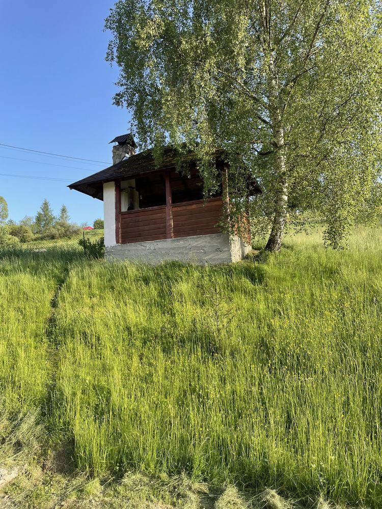 Відпочинок в Карпатах Славське