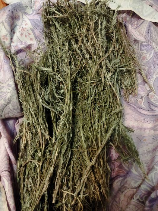 Лаванда сушена  сухоцвіт лаванди