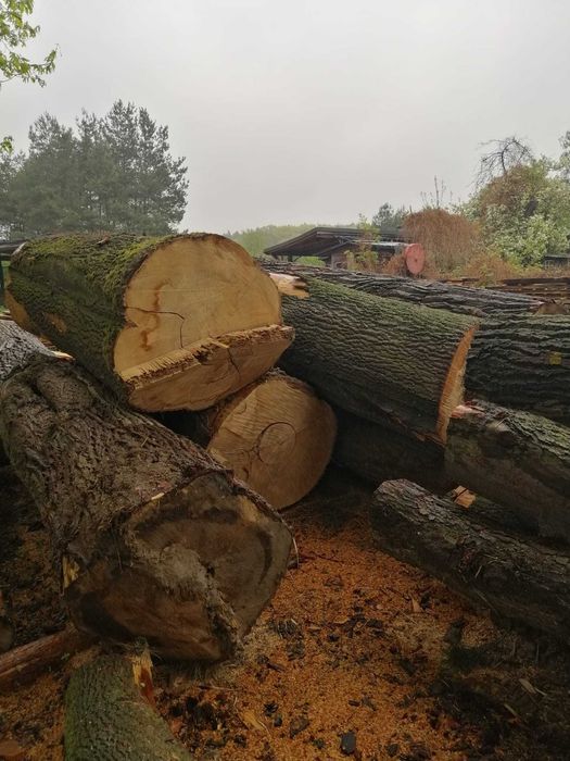Sprzedam jesion olcha dąb topola mix średnice