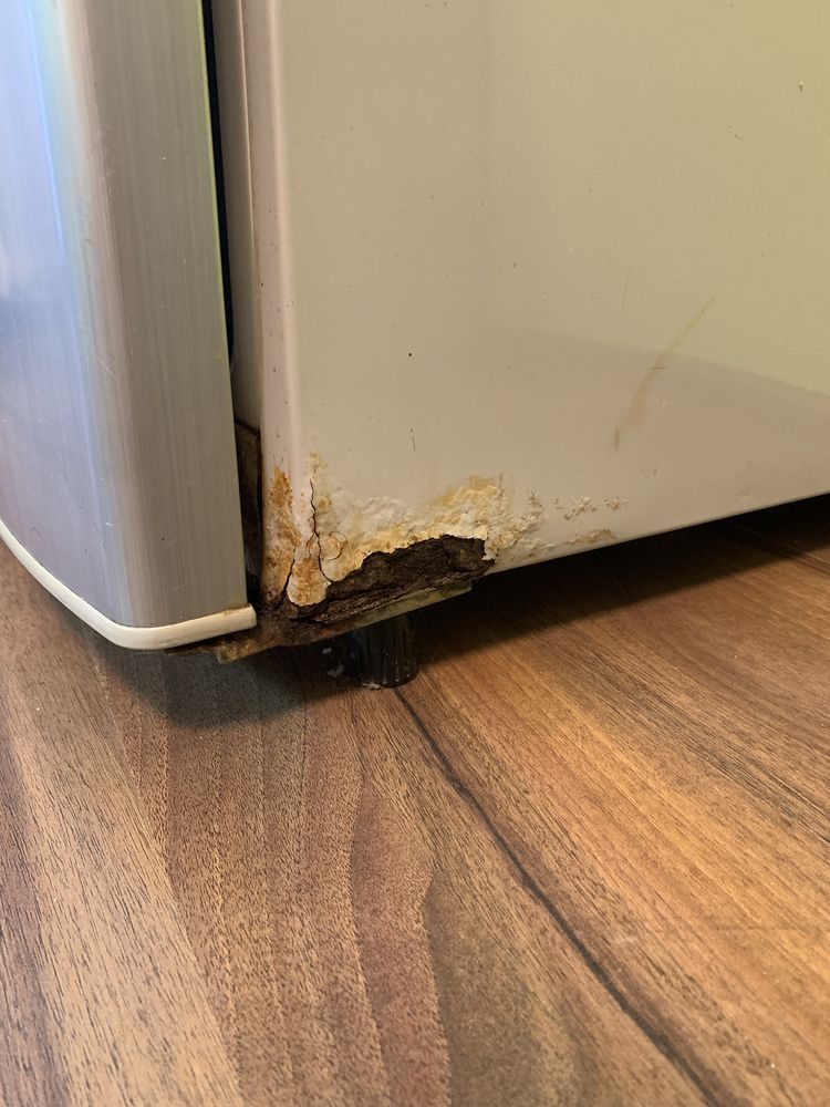 Холодильник Samsung RL 28 DBSW