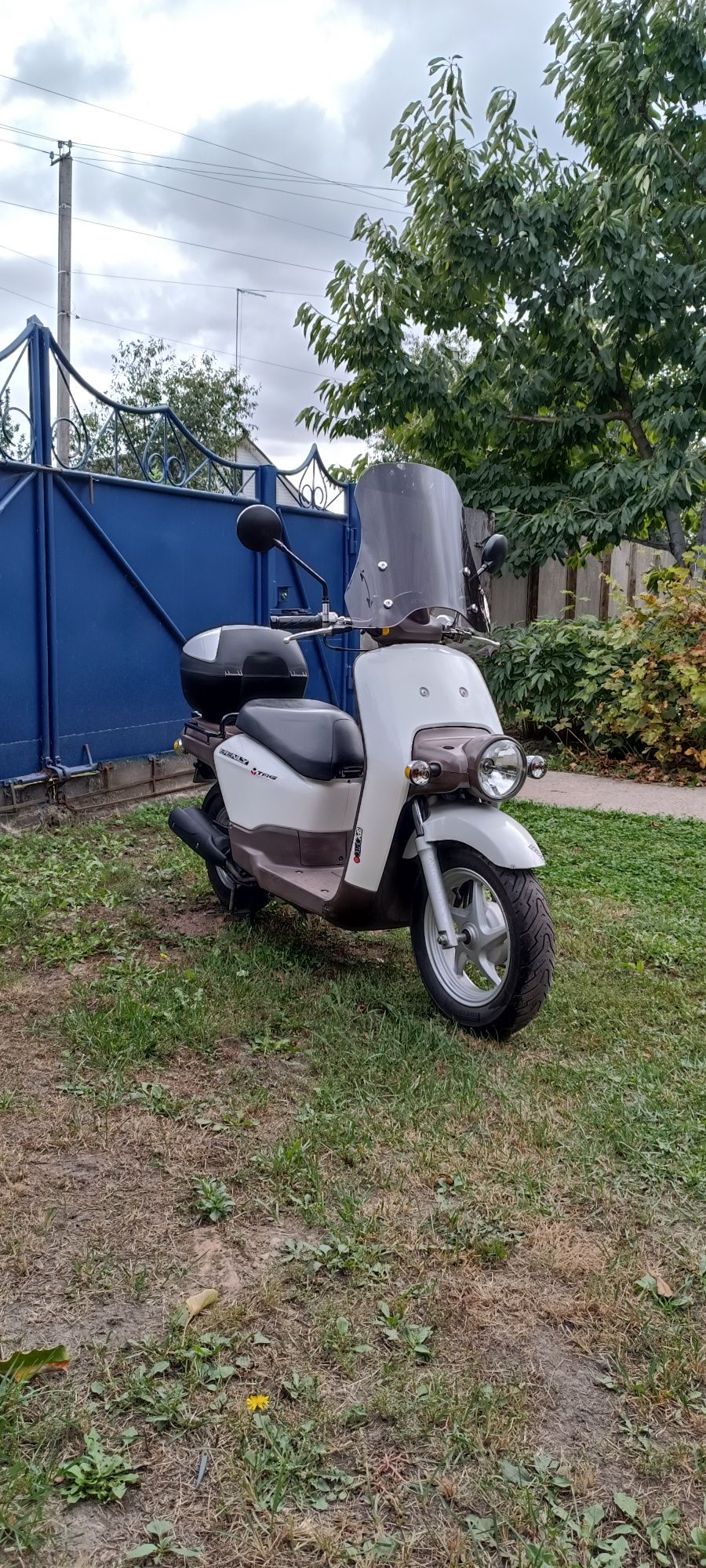 Скутер Honda Benly 50