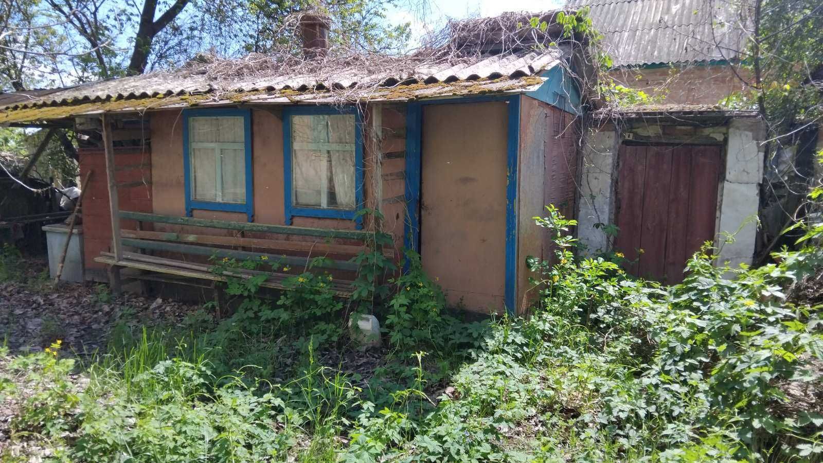 Домоволодіння в с. Яснозір'я (санвузол, піч з лежанкою, 3 фази) (п3)