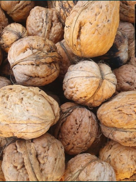 Orzechy włoskie JACKI 2 kg