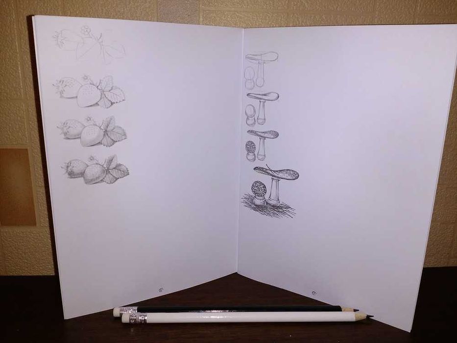 Маркери 36 набір маркерів Touch для скетчингу В чохлі Рисование Набор