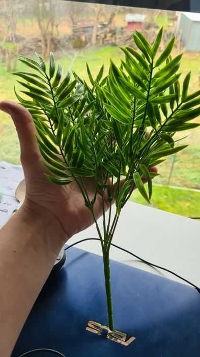 sztuczna roślina terrarium, dla gekon orzęsiony, 5 gałązek ok 30cm