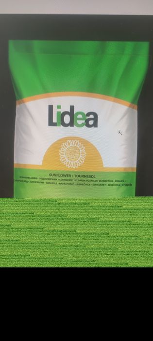 Насіння соняшнику ЕС Розалія