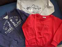 Sweats e casaco BOSS, TIMBERLAND e LACOSTE