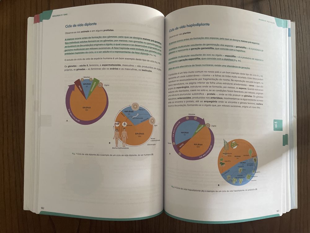 Livro de preparação para exame final de Biologia