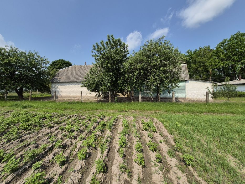 Дім біля лісу 60 соток