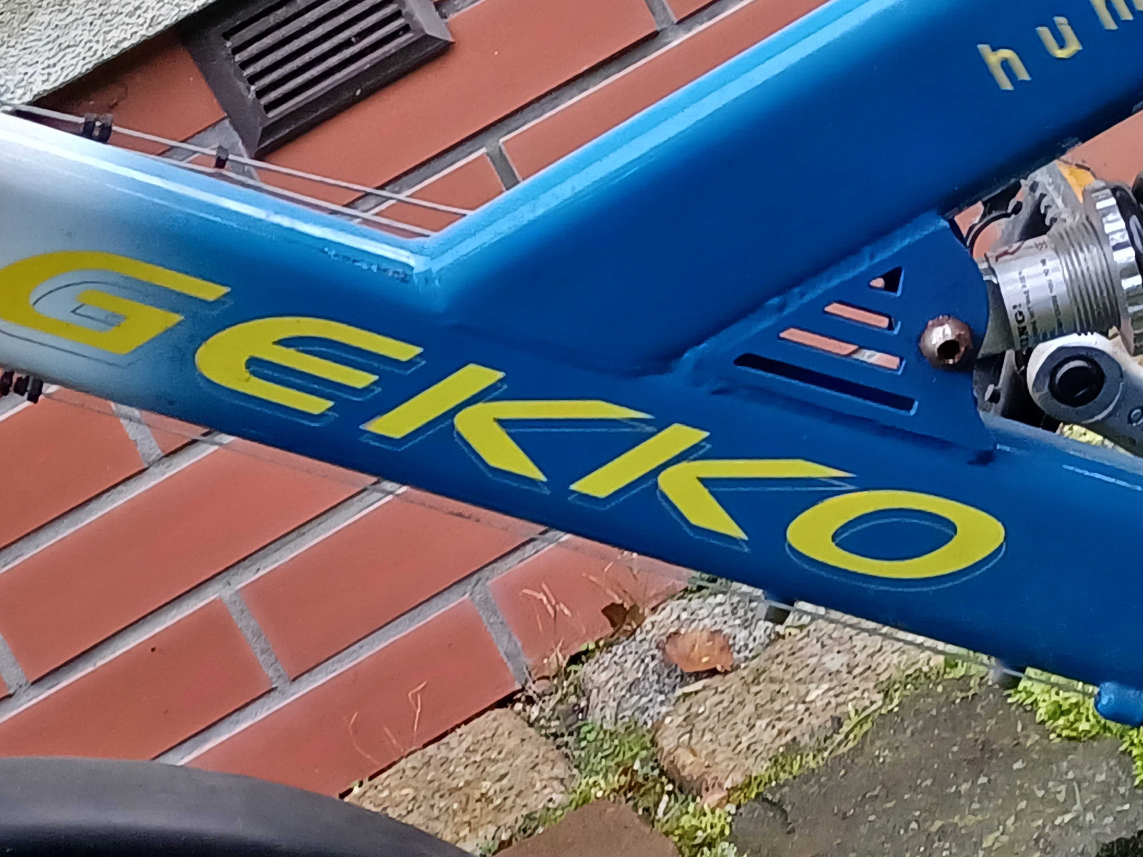 Rower dzieciecy 20'' Gekko