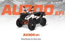 KAYO AU 300 / T3B / 23KM / Raty / Transport / FV 23% – 2WD, CVT R/N/H/L
