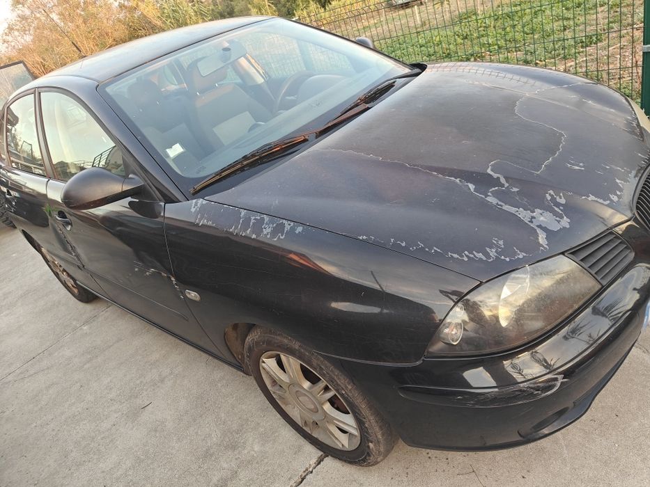 Seat Ibiza gasolina