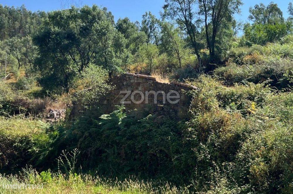 Terreno de 4992m2 com ruína em pedra na Sertã