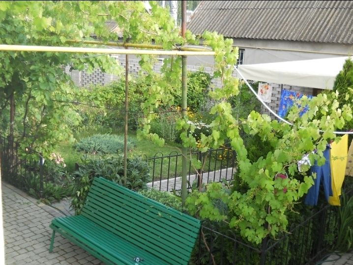 Отдых в Одессе,возле пляжа Лузановка. Сдам Номера , комнаты в доме.
