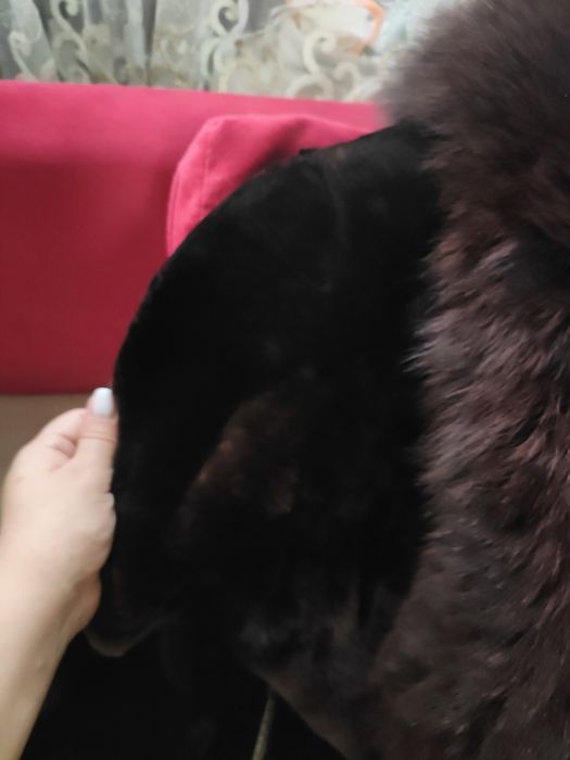 Шуба натуральная из мутона и песца