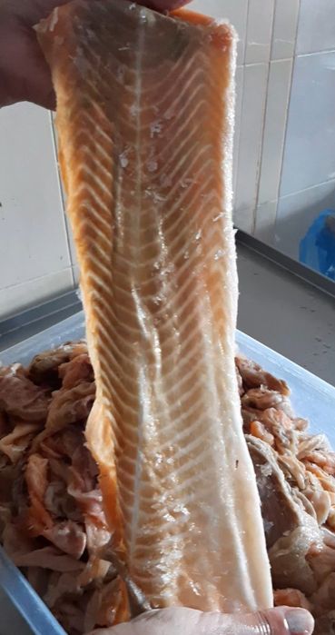 Лосось м'ясо Підшкірне