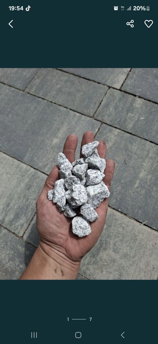 Kamień Granit Ozdobny Dalmatyńczyk 20kg