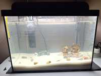 Akwarium 60L +akcesoria