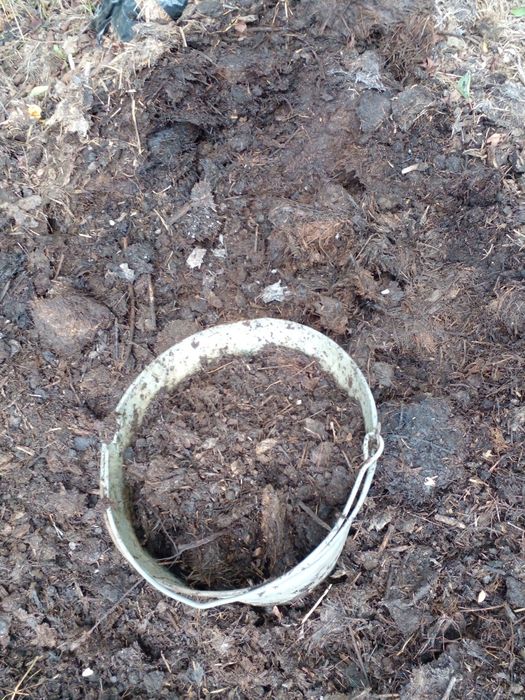 Перегній, Козиний навоз, удобрение,, Добриво, Перегной, мульча, биогу