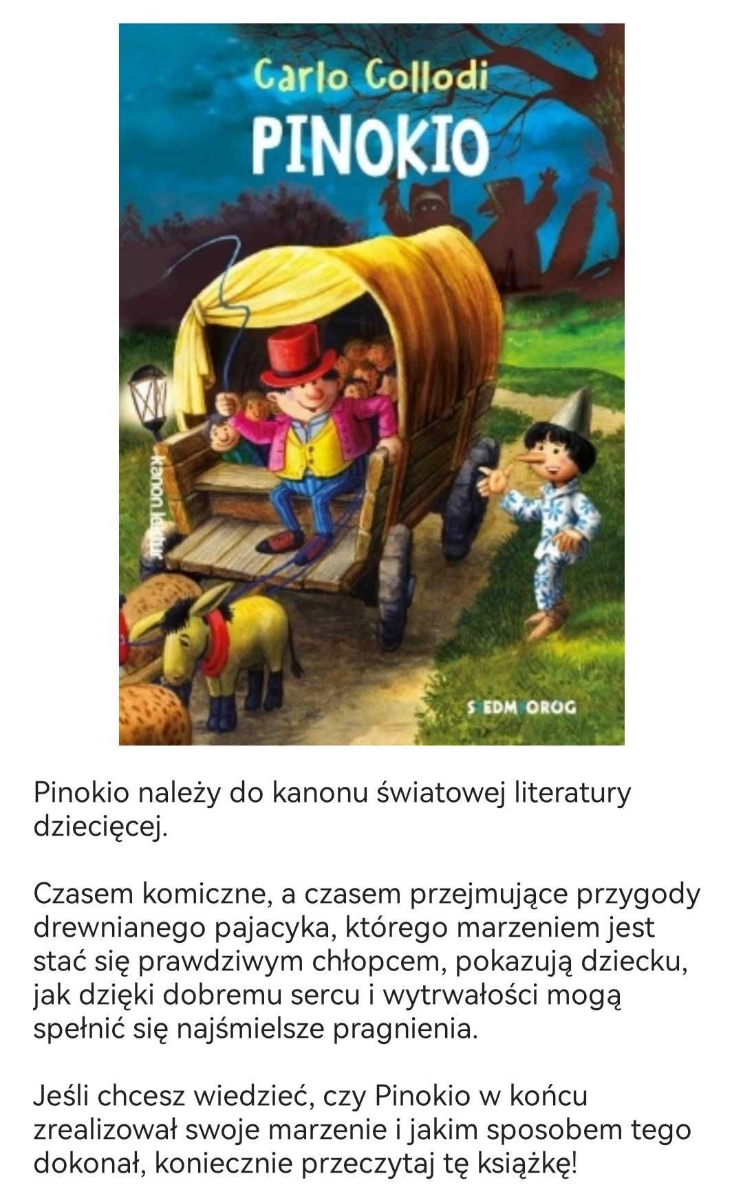 Pinokio i Baśnie Kanon lektur