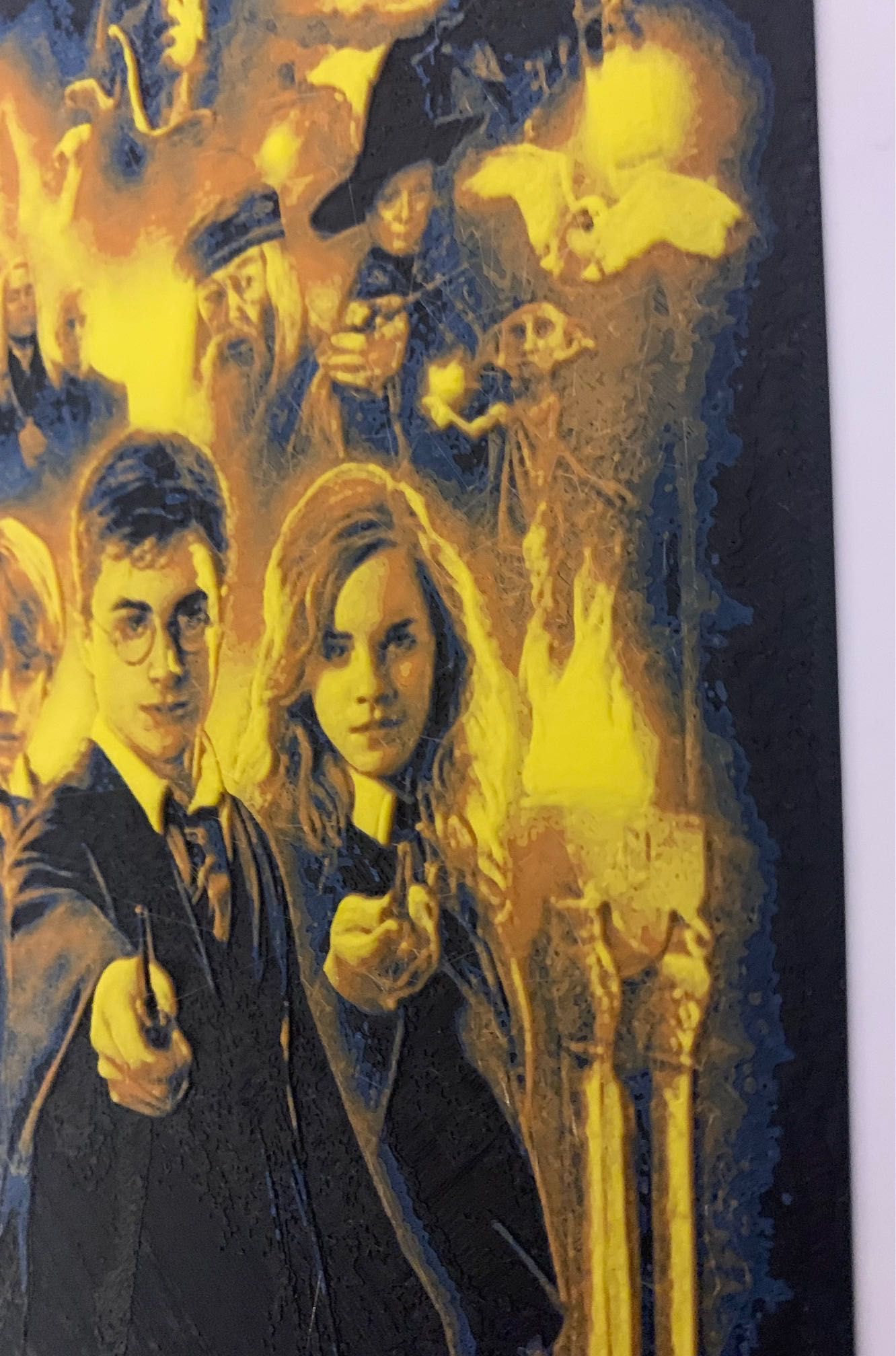 obraz ala Harry Potter 22x17 płaskorzeźba litografia 3D hueforge druk