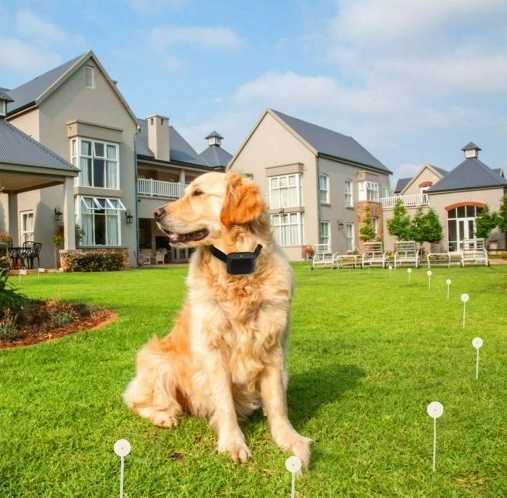 Elektryczny pastuch dla psa, kota, obroża, XXL 300m, kojec, bezpieczny