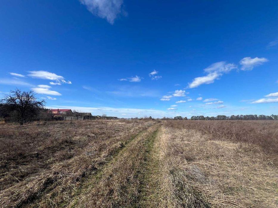 Продаж земельної ділянки 1,46га (ОСГ). Терміново! ТОРГ! ID:679