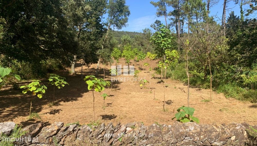 Terreno para venda, Orbacém, Caminha