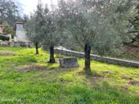 Terreno com 1.700m2 na Ribeira