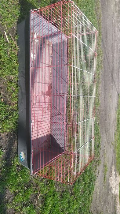 Sprzedam fajnym klatkę