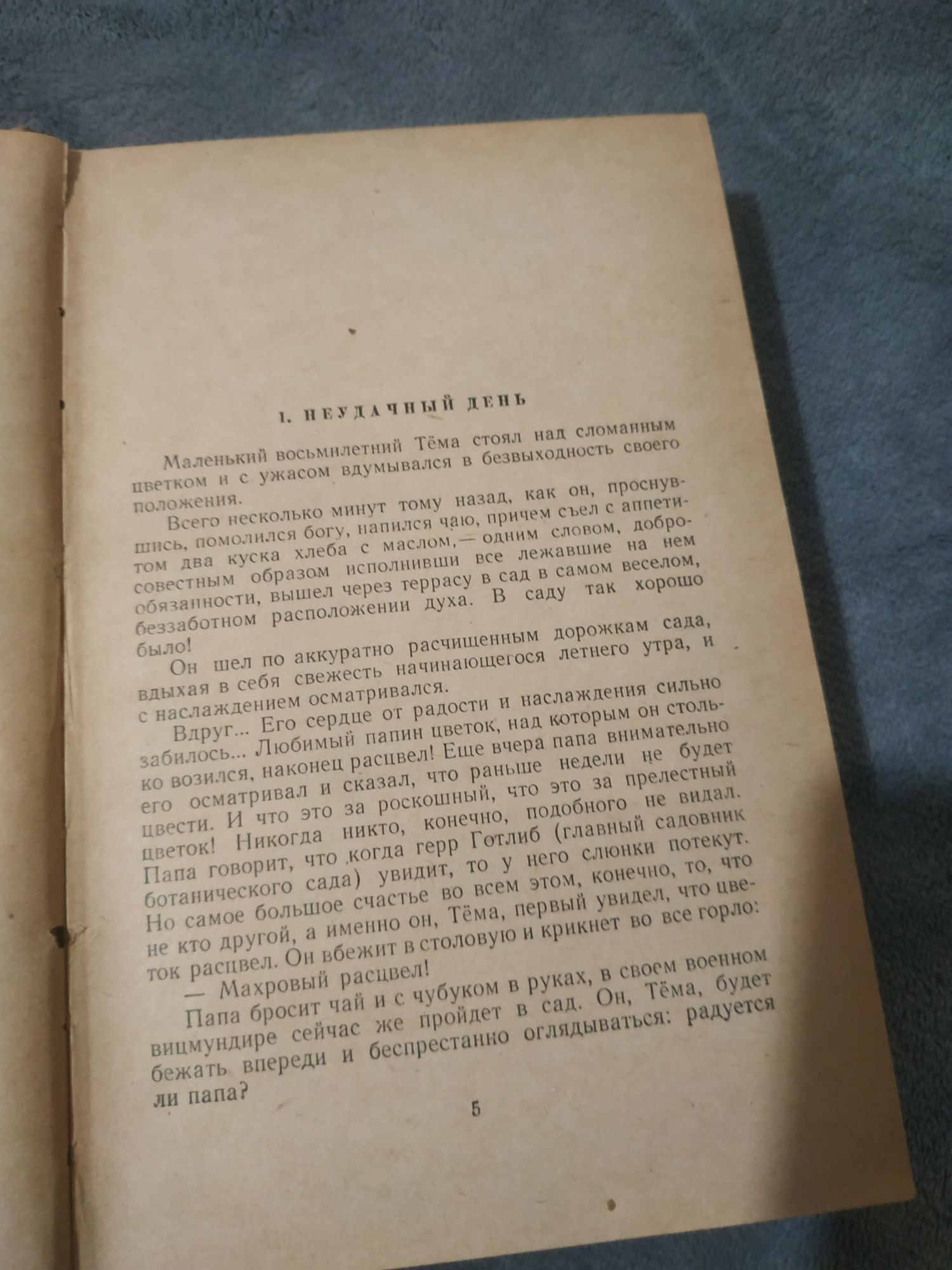 Детство Тёмы Н.Гарин- Михайловский