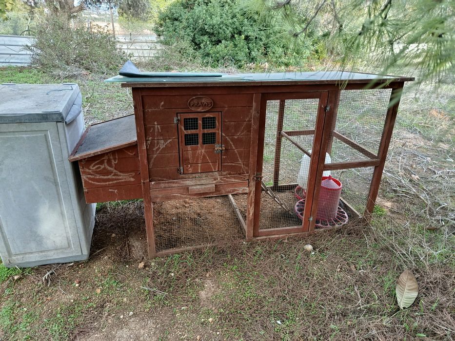 Galinheiro de madeira