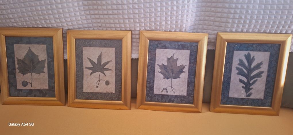 Quadros com moldura  em dourado