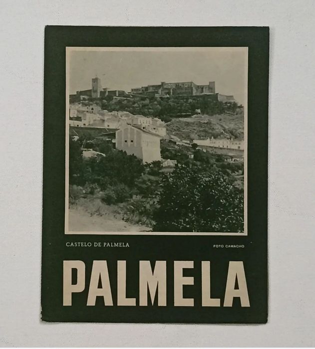 Vendo conjunto de 11 guias ROTEP