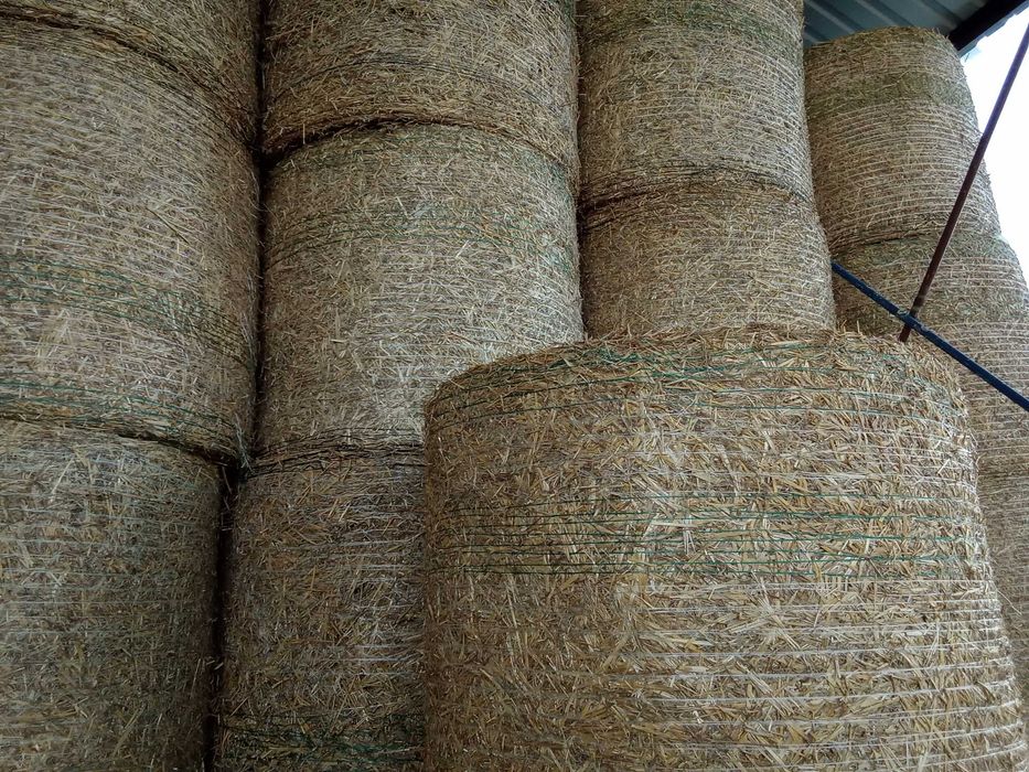 Sprzedam słomę, słoma pszenna 130x120