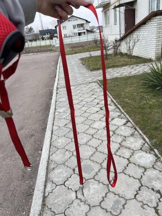 Повідець та шлейка