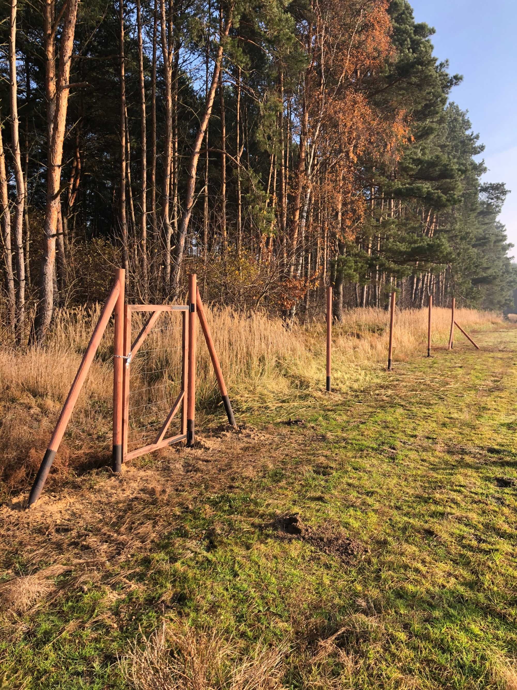 Ogrodzenie leśne budowlane tymczasowe płot 17zł/m asf siatka tanio