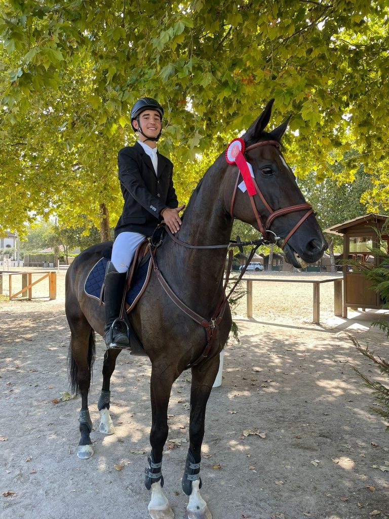 Vendo excelente cavalo