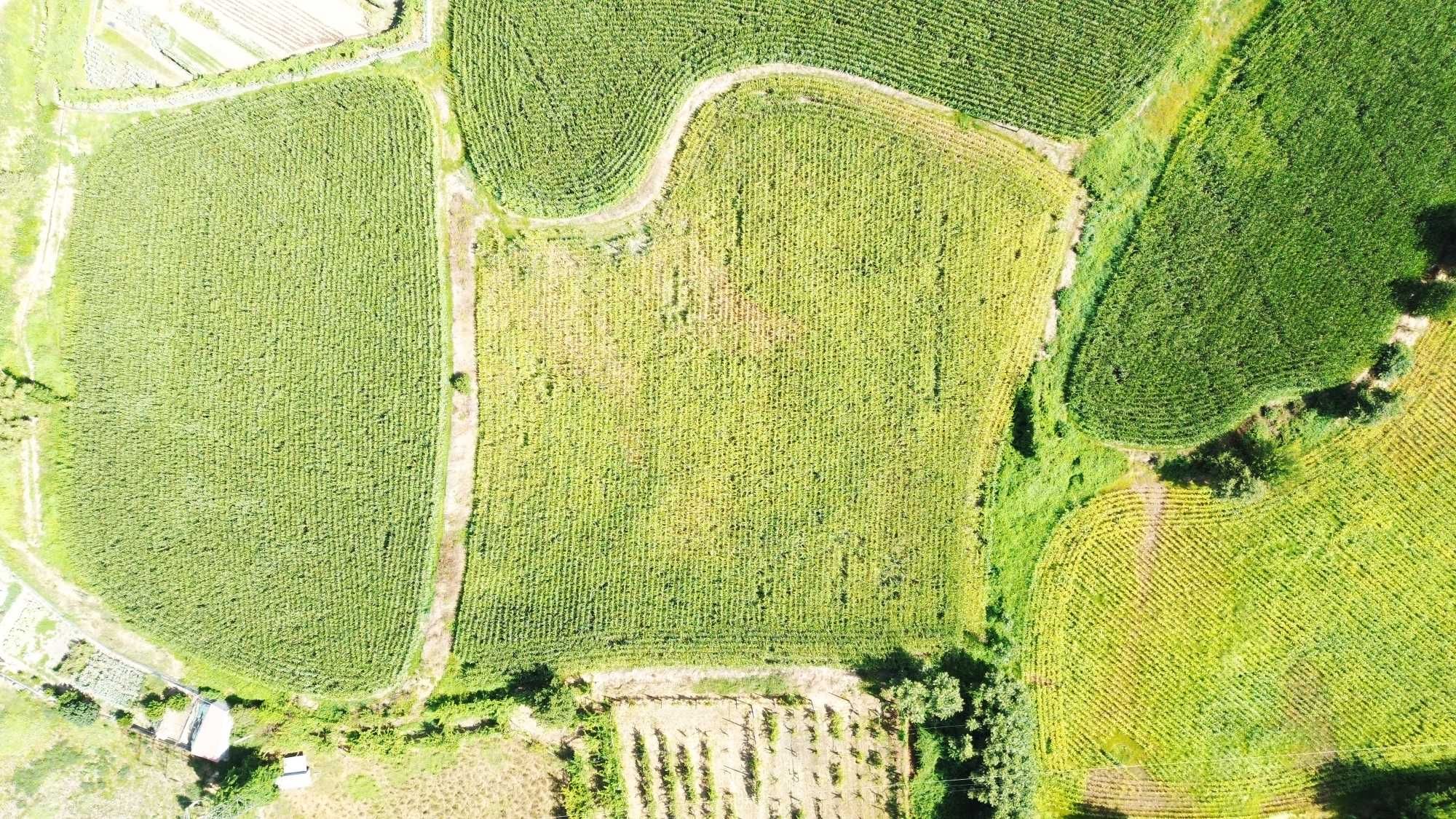 Terreno Guimarães