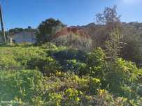 Terreno  para venda